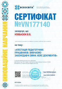 №VN177140