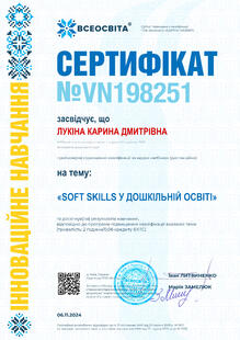 №VN198251