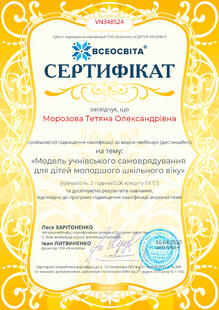 №VN348524
