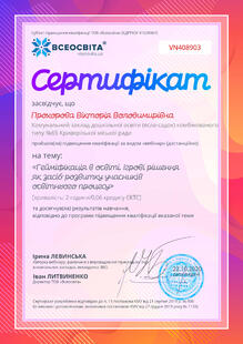 №VN408903