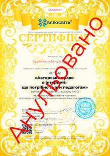 №VN500267