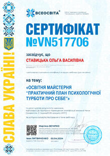 №VN517706