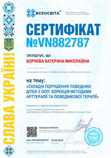 №VN882787
