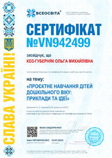 №VN942499