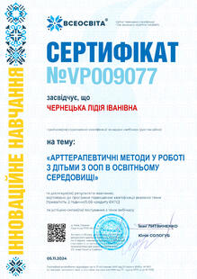 №VP009077