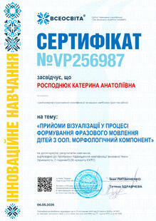 №VP256987
