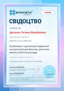 №VP336365