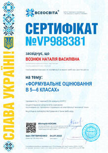 №VP988381