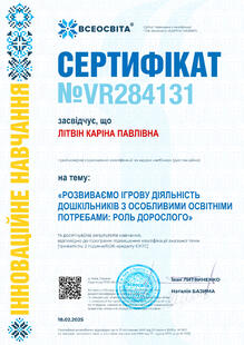 №VR284131