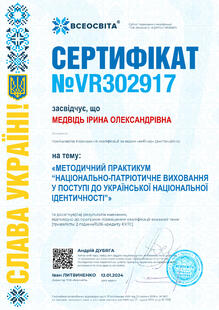 №VR302917
