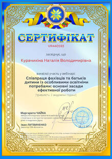 №VR440593