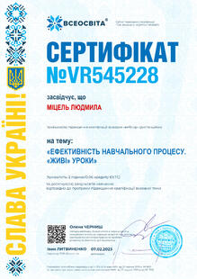 №VR545228