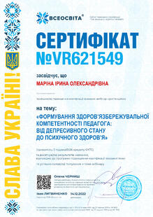 №VR621549