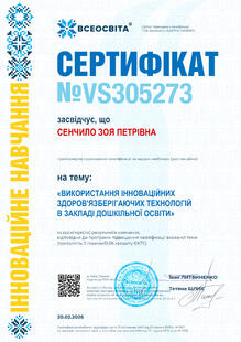 №VS305273