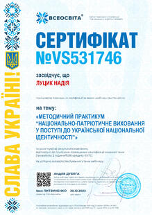№VS531746
