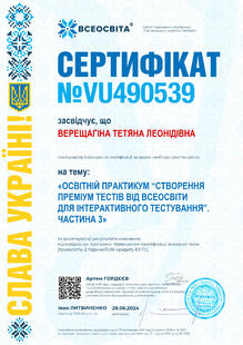 №VU490539