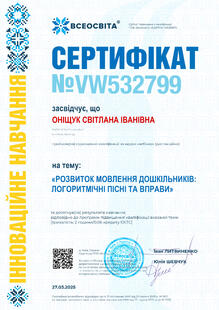 №VW532799