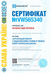 №VW565340