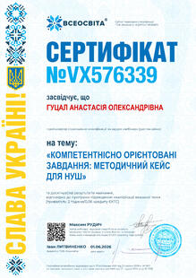 №VX576339