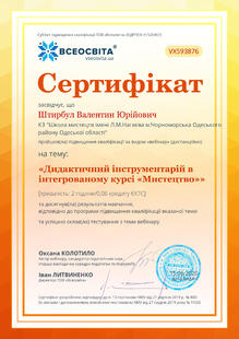 №VX593876
