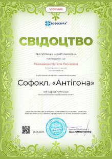№VY260889