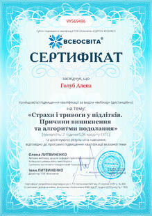 №VY569496