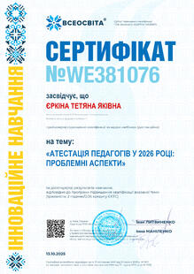 №WE381076