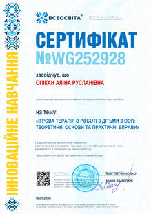 №WG252928