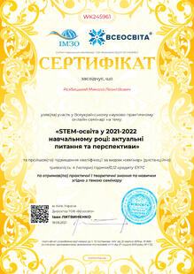 №WK245961