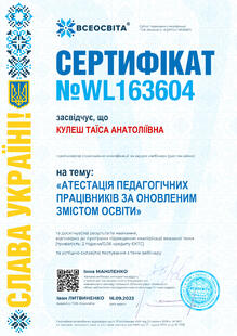 №WL163604