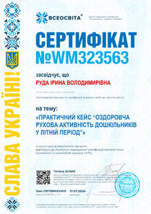№WM323563