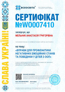 №WO007410