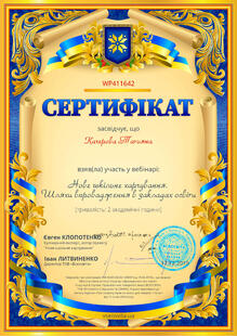 №WP411642