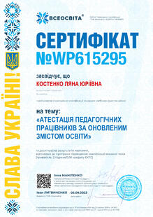 №WP615295