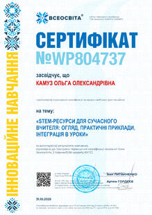 №WP804737