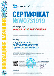 №WQ731919