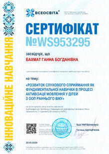 №WS953295