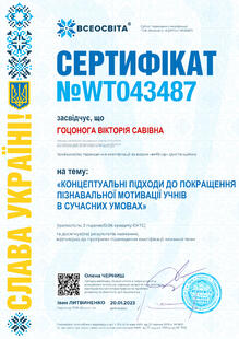 №WT043487