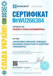 №WU266384