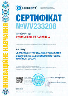 №WV233208