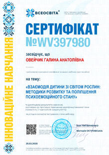 №WV397980