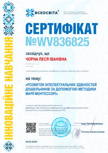 №WV836825