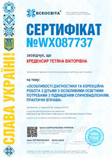 №WX087737
