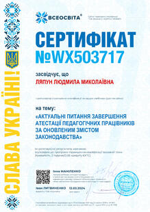 №WX503717