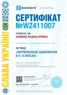 №WZ411007