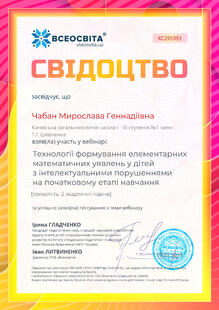№XC295393