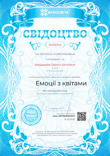 №XE252204