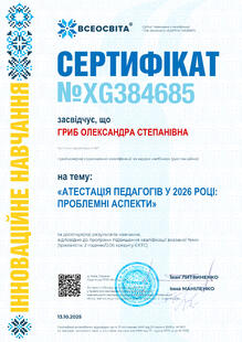 №XG384685