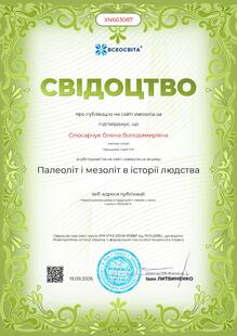 №XN663087