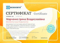 Сторона №1